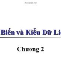 Bài giảng Lập trình cơ bản - Chương 2: Biến và kiểu dữ liệu