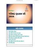 Bài giảng Lập trình Java - Chương 1: Tổng quan về Java