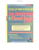 Hướng dẫn học lập trình cơ sở dữ liệu SQL Server 2000 và Visual Basic.Net