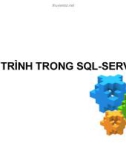 Bài giảng Cơ sở dữ liệu: Lập trình trong SQL server - ThS. Nguyễn Ngọc Quỳnh Châu