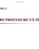 CHƯƠNG 5 STORE PROCEDURE VÀ TRIGGER - Bài 10: Cơ bản về lập trình bằng T_SQL