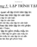 Bài giảng Lập trình C nâng cao - Chương 5: Lập trình tập tin