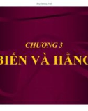 Bài giảng Lập trình C: Chương 3 - Biến và hằng