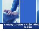 Chương 1: GiỚI THIỆU TỔNG QUAN VỀ FLASH