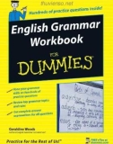 english grammar workbook for dummies: part 1