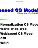 Webbased Cs model