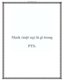 Mask (mặt nạ) là gì trong PTS.