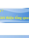 Bài giảng Maple - Lập trình tính toán: Chương 1 - Giới thiệu tổng quan