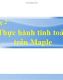 Bài giảng Maple - Lập trình tính toán: Chương 2 - Thực hành tính toán trên maple