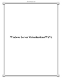 Windows Server Virtualization (WSV)