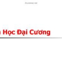 Tin học đai cương