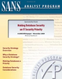 Making Database Security an IT Security Priority: A SANS Whitepaper – November 2009