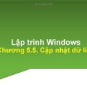 Bài giảng Lập trình trên Windows: Chương 5.5 - Trần Minh Thái