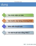 Bài giảng Nhập môn lập trình - Chương 1: Các khái niệm cơ bản về lập trình