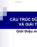 Bài giảng Cấu trúc dữ liệu và giải thuật - Giới thiệu môn học