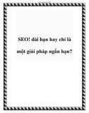 SEO! dài hạn hay chỉ là một giải pháp ngắn hạn?