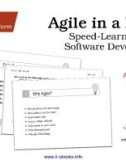 Agile in a Flash