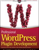 Professional WordPress Plugin Development