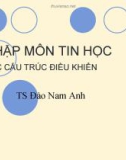 Bài giảng Nhập môn tin học: Các cấu trúc điều khiển - TS. Đào Nam Anh