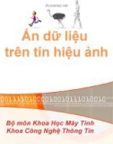 Ẩn dữ liệu trên tín hiệu ảnh