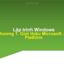 Bài giảng Lập trình trên Windows: Chương 1 - Trần Minh Thái