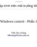 Bài giảng Lập trình trên môi trường Windows: Phần 1 - Windows control