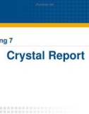 Bài giảng Chuyên đề C#: Chương 7 - Crystal Report