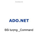 Bài giảng Lập trình quản lý - Chương 1: ADO.NET (Tiếp theo)