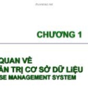 Bài giảng Chương I: Tổng quan về Hệ quản trị cơ sở dữ liệu (Database Management System)