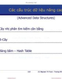 Bài giảng Cấu trúc dữ liệu và giải thuật: Các cấu trúc dữ liệu nâng cao - Nguyễn Tri Tuấn