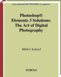 Photoshop Elements 3 Solutions: The Art of Digital Photography- P1