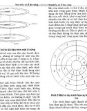 10 phút học máy tính mỗi ngày - Tìm hiểu về ổ đĩa cứng part 2