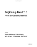 Beginning Java EE 5 From Novice to Professional phần 1