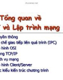 Tổng quan về MMT và Lập trình mạng