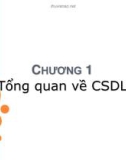 Bài giảng Cơ sở dữ liệu - Chương 1: Tổng quan về CSDL