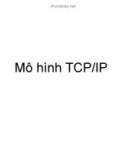 Mô hình TCP/IP - Bài 2