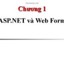 ASP.NET và Web Forms