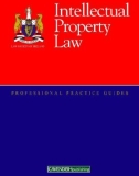 Intellectual Property Law: Part 1