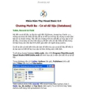Khóa Hàm Thụ Visual Basic 6.0 Cơ sở dữ liệu (Database) Table, Record và Field