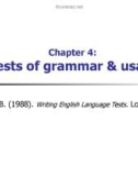 Lecture Chapter 4: Tests of grammar & usage