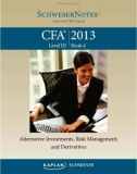 Schweser Note CFA 2013 Level 3.4