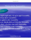 Nhập môn Assembly