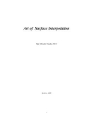 Art of Surface Interpolation-Chapter 1: Introduction