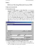 Xử lý các file trong microsoft Access 2000
