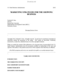 Marketing Strategies for the Growing Business