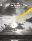 Strategic business risk 2008 - The top 10 risks for business