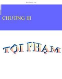 Bài giảng Luật hình sự - Chương 3: Tội phạm