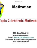 Intrinsic motivation