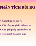 Bài giảng: Phân tích rủi ro dự án