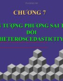 Môn học kinh tế lượng - Hiện tượng phương sai thay đổi